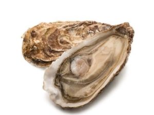 Fine de claire, Marennes-Oléron n°3